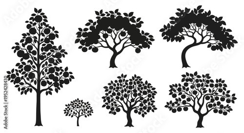 Fruit Tree Silhouettes: Apple, Orange and Pear Trees