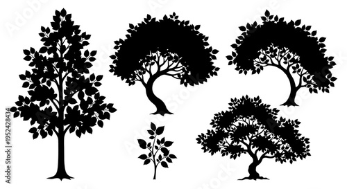 Diverse Tree Silhouettes: Garden, Forest, Nature Icons