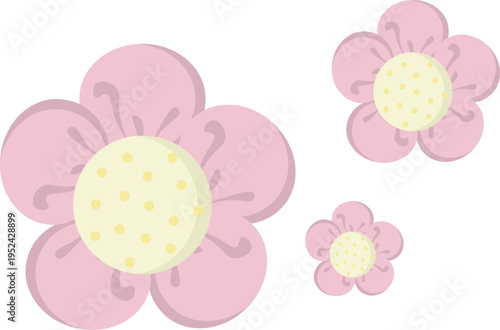 Minimalist flat design of blooming cherry blossoms or plum flowers with cream centers. Perfect for floral patterns, invitations, and spring decorations.