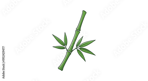 Green Bamboo Stalk with Leaves Isolated on White Background