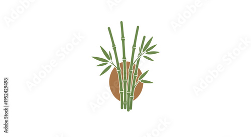 Green Bamboo Stalks with Oval Shape Isolated on White Background