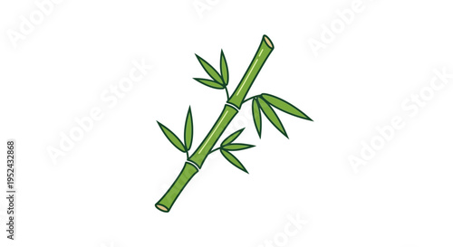 Green Bamboo Stalk with Leaves Isolated on White Background
