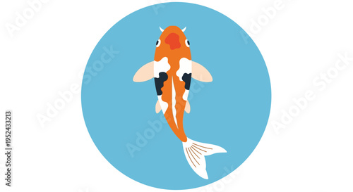 Vibrant Koi Fish Swimming in Clear Blue Water - Top View