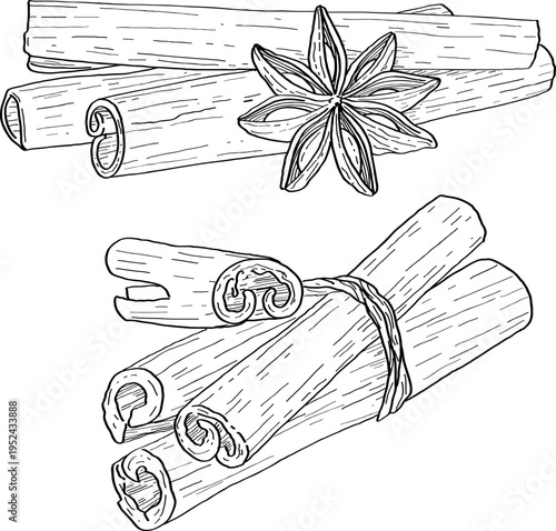 High quality linear realistic vector illustration of a Cinnamon stars & sticks. Ideal for menus, restaurant and other establishment designs, cosmetic and product label design. Spice and Herbs