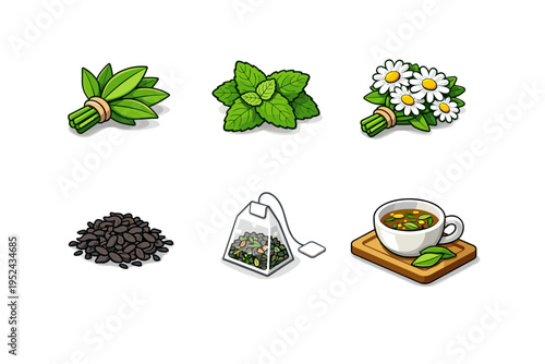 Illustration set of herbal ingredients and tea items including mint leaves, chamomile flowers, dried beans, a tea bag, and a hot cup of tea