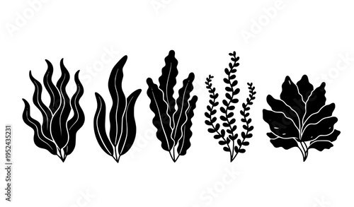 Black seaweed vector icon set minimalist algae silhouettes isolated on white background
