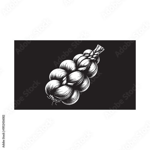 A bunch of garlic bulbs with stems