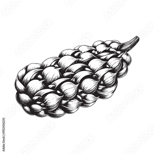 A detailed black and white illustration of a cluster of garlic bulbs