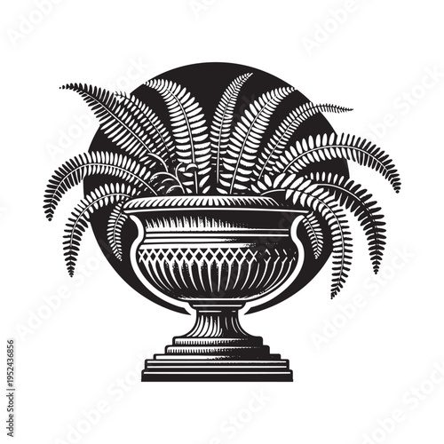 A black and white image of a potted fern plant