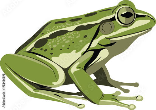 Vibrant green frog illustration with detailed skin texture, a captivating digital artwork of an amphibian creature, perfect for nature and wildlife themes