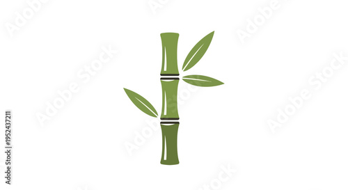Green Bamboo Stalk with Leaves