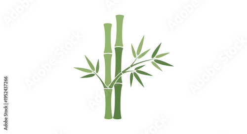 Green Bamboo Stalks with Leaves on White Background