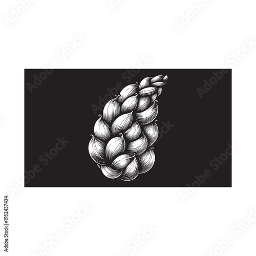 A detailed drawing of a bunch of garlic