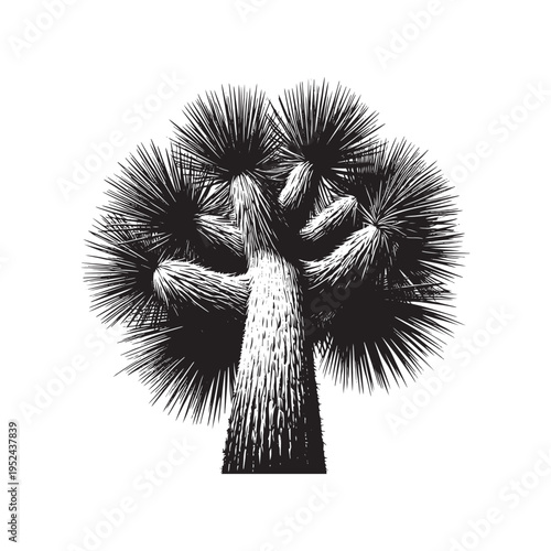 A black and white drawing of a tree with spiky leaves