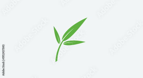 Green Bamboo Leaves Branch on White Background