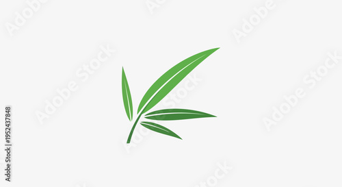 Green Bamboo Leaves on White Background