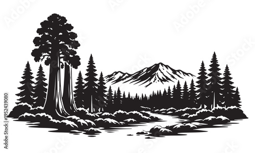 Sequoia National Park Silhouette, Silhouette Vector, Isolated on White Background