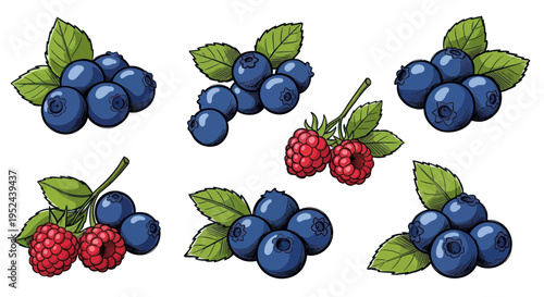 Hand-drawn blueberries and raspberries illustration, fresh berries with leaves, isolated on white background