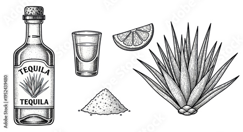 Tequila Bottle, Shot Glass, Agave Plant, Lime Slice, and Salt Pile - Hand-Drawn Illustration