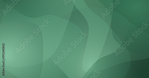 Abstract organic shapes in a soft green hue create a tranquil and flowing background