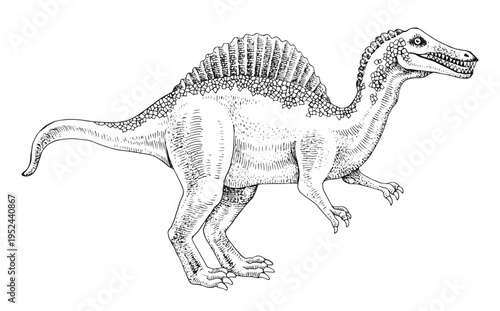 Spinosaurus dinosaur hand drawn vector