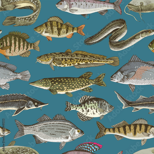 Freshwater fishes vector seamless pattern