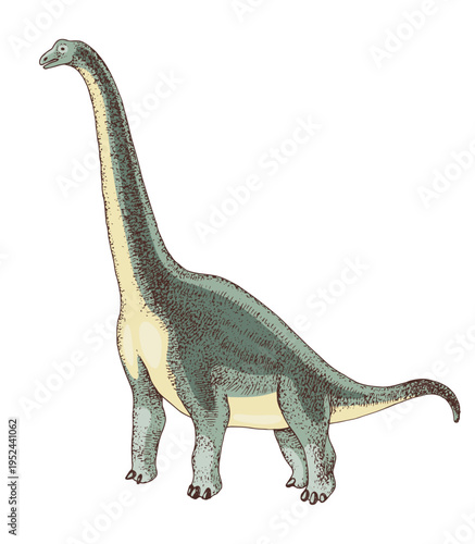 Brachiosaurus dinosaur hand drawn vector