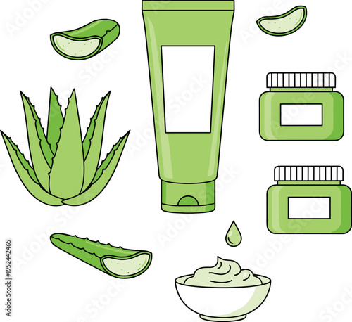 Vector illustration of aloe vera plant, sliced leaves, and natural skincare cosmetic products for beauty, health, and wellness design