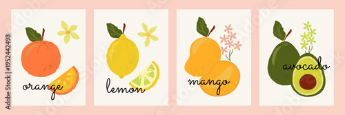 Set of abstract fruit posters. Orange, lemon, mango and avocado  decorative botanical design.