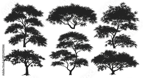 Set of Silhouettes of Decorative Bonsai Trees