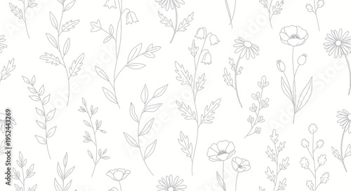 Delicate Floral Line Art Pattern, Hand Drawn Wildflowers and Leaves on White Background