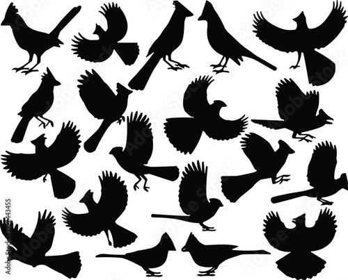 WebVector set of cardinal bird silhouettes in various flying and perching poses, perfect for nature designs, decals, and craft projects,
