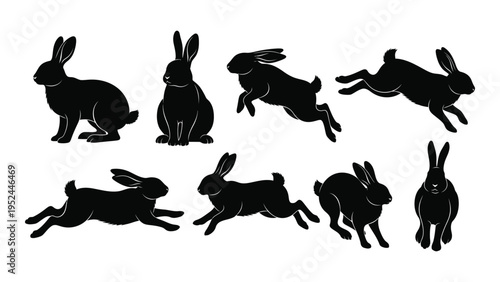 A collection of black silhouettes depicting rabbits in various poses and activities