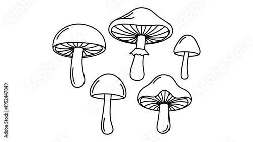 Simple line drawing depicts a collection of various mushroom shapes and sizes
