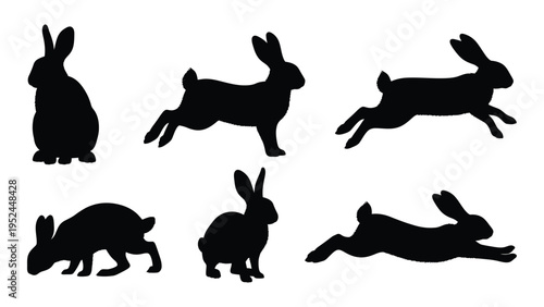 Silhouette illustrations of rabbits in various poses against a white background
