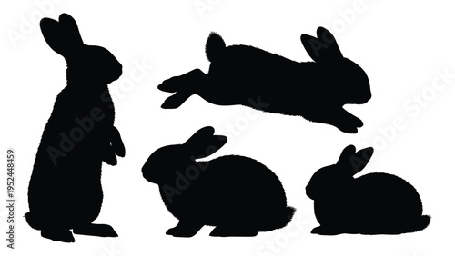 Silhouettes of rabbits in various poses against a white background