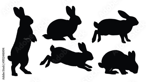 Silhouette depictions of rabbits in various poses against a white background