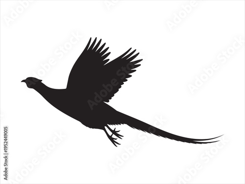 A flying pheasant bird silhouette, Flying pheasant silhouette. vector illustration