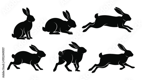 Silhouette illustrations of six rabbits in various poses against a white background