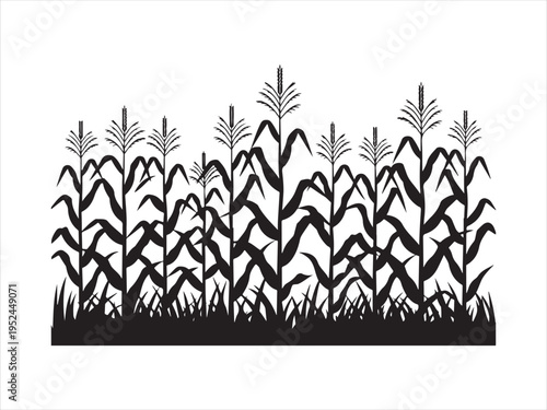 Black corn field. Maize field silhouette design vector illustration. on white background