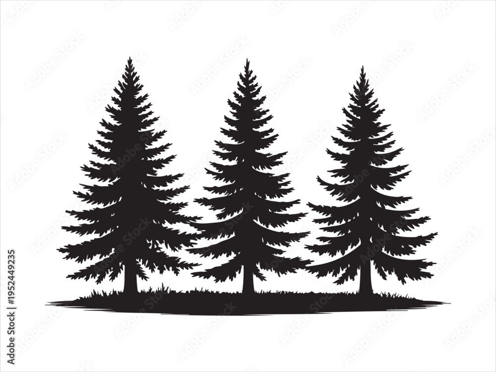 Fototapeta premium Fir trees silhouettes vector set, Pine Trees Silhouette Vector Illustration