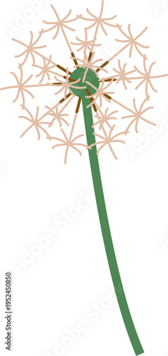 Dandelion Seedhead Blowing