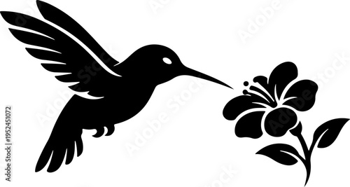 Hummingbird hovers near colorful flower with long beak and wings spread.