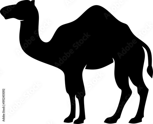 Black Silhouette of a Camel in the Desert