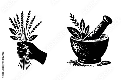 Herbal medicine hand holding wheat and mortar with pestle in black silhouette for health and wellness