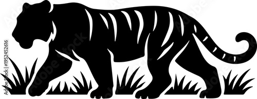 A black tiger walks through tall grass in a natural landscape