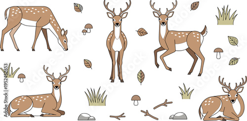 Flat vector illustration set of deer and stags featuring various poses like grazing, sitting, and standing with mushrooms, leaves, and forest grass.