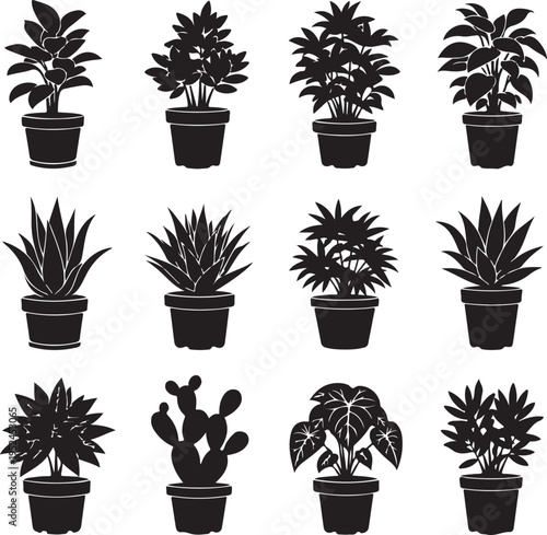 House plants silhouettes