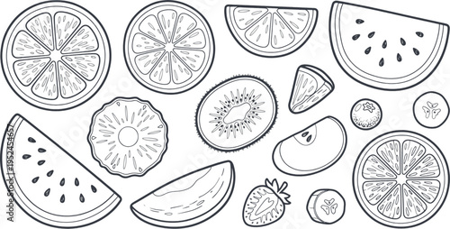  fruite slice line art.