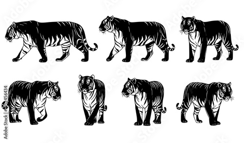 Tiger silhouette set walking and standing poses vector big wild cat tattoo design